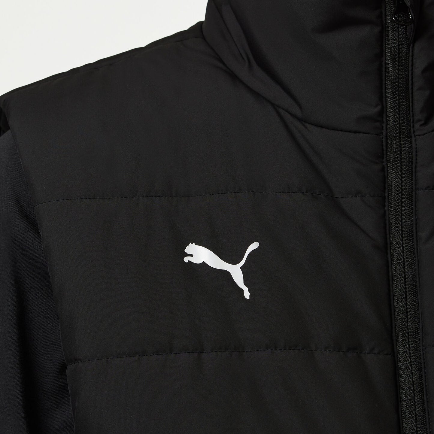 Gilet Men