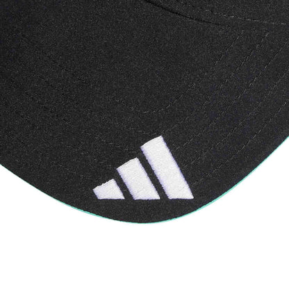 2025 Team Cap